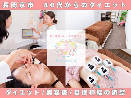カナエル(Kanaeru)の写真