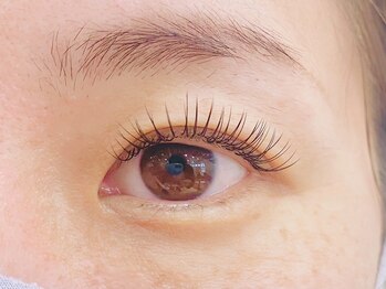 ティンク港南台 アイラッシュアンドネイル (Tink eyelash&nail)/フラットラッシュ