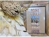 【ワンホン定額】２色まで変更OK（色混ぜ不可）￥6800