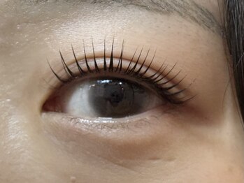 ペルシャ(Persian)/お客様デザイン(担当:宮井)