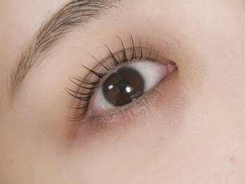 コルテアイ(CoRte.eye)/まつ毛パーマ/ラッシュリフト