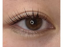 エヌプラスアイラッシュサロン(n plus eyelash salon)/立ち上げてカール。 