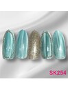 蒲田店限定-SK254