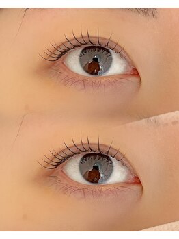 シャルフ(shalf)/