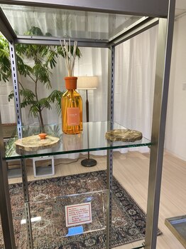 clos. 【4/1 NEW OPEN(予定)】 /店内インテリア 空間