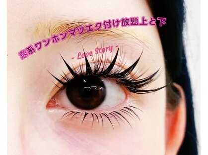 アオイ アイラッシュ 大久保店の写真