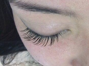 シュシュ(chou chou)/セーブル120本(chouchou吉祥寺)