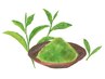 【6月限定】酵素入浴＋抹茶フェイスパック+ドリンク