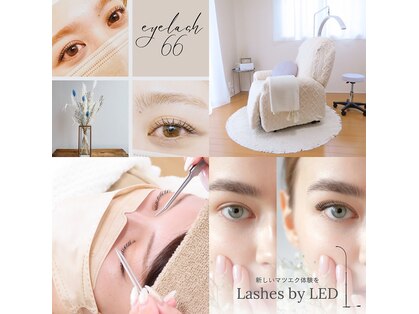 アイラッシュ 66(eyelash 66)の写真
