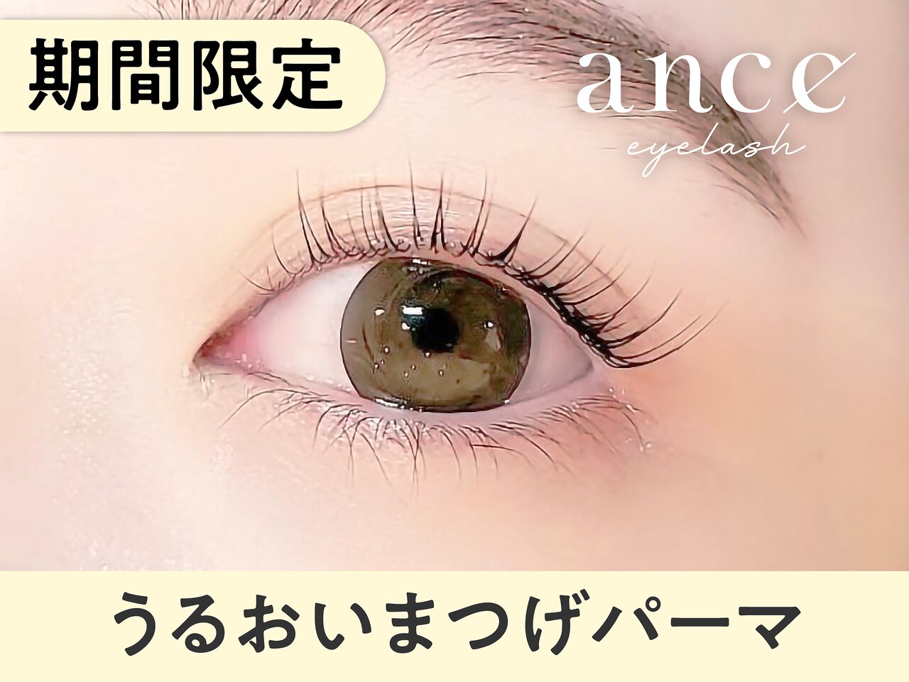 【4月20日まで限定】潤いまつげパーマ \7700→【\2550】[名古屋]