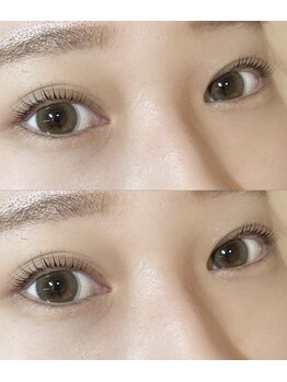 アイラッシュプラン リノ(eyelash plan RINO)/韓国風パーマ