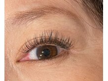 シャイニング ジェイ(Shining J)/フラットマットラッシュ