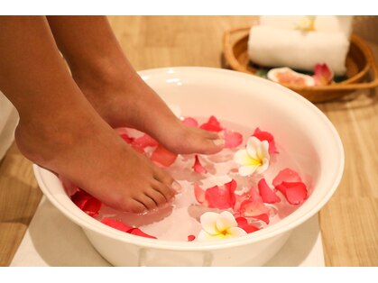 エナ(ena)の写真