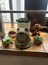 スナップストレッチ(Snap Stretch)/オールキャスト