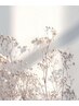 ☆°。 ↓↓フェイシャルメニュー↓↓☆°。