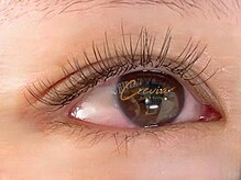 クレヴィア(crevia)/フラットラッシュ120本　LED装置