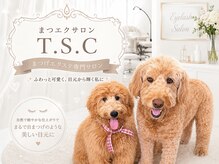T S C 高安店