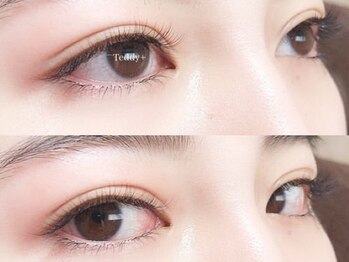 テディプラス(Teddy+)/フラットラッシュ60分コース