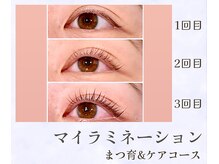 アンムート(Anmut)/マイラミネーション