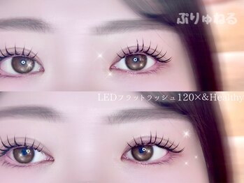 ぷりゅねる 難波本店の写真/《LED×&Healthy》長持ちカールで写真もすっぴんも“映える目元”に◎写真映えする、トレンドまつげ完成！