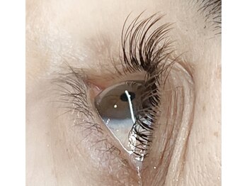 ソエル(soel)/LEDカラーエクステ120本