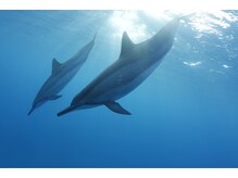 ハワイアンフォレストスパ 上大岡店/本格ロミロミが学べる♪