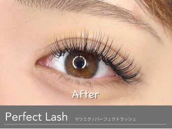 アンモス(Ann Moss)/ナチュラルマツエクPerfect Lash