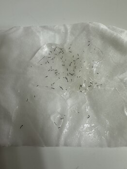 ビーンズ(BEANS)/ポップアップ