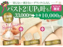 美人バスト 南森町店