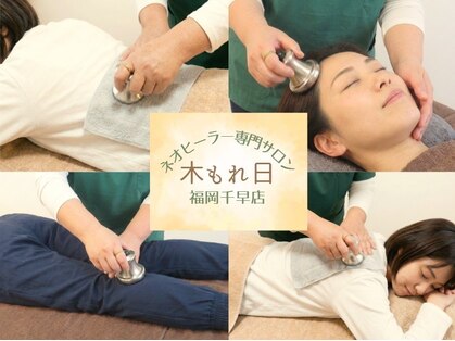 木もれ日 福岡千早店の写真