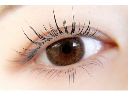 カリーノ(Carino)の写真