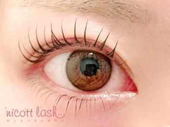 ニコットラッシュ 神戸三宮店(nicott lash)/まつげパーマ/パリジェンヌ/神戸