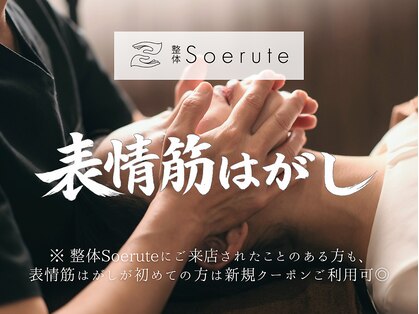 ソエルテ(Soerute)の写真