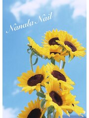 Nanala Nail(オーナーネイリスト)
