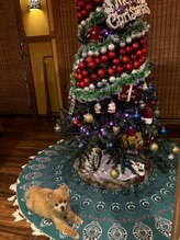 美楽流(miracle)/2021クリスマスツリー