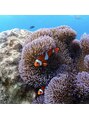 イーズ(eees)&nbsp;ダイビングの資格を持っています。沖縄の海は沢山潜りました♪