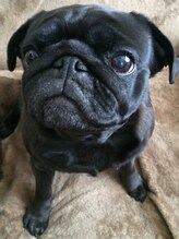 アイラッシュサロン マカナニ(eye lush salon makanani)&nbsp;ちょろこ （渡辺）