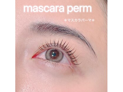 モガ(Moga)の写真