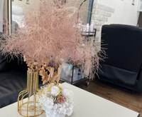 シェリーモナ(Cherie Mona)