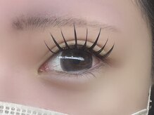 フリー#240(Free#240)/ダブルフラット200本