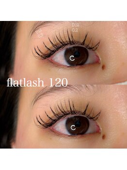 エルア アイラッシュ(elua eyelash)/フラットラッシュ120本