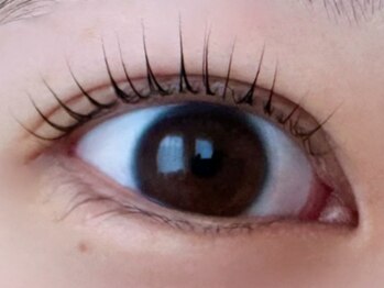 オンドットオフ(ON.OFF)/ラッシュリフト(まつ毛パーマ)