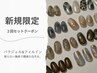 【2回セット/初回オフケア込み】ニュアンスデザイン 10本アート ¥14,000