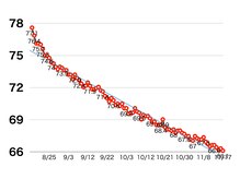 タイナ 岡山(taina)/３ヶ月の実際の体重変化