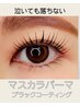 マスカラパーマ☆まつげパーマに落ちないブラックティントパリメーテル変更可