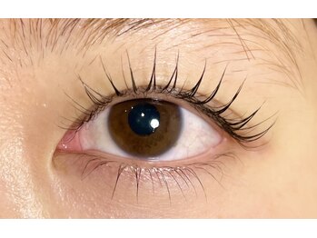 ユーフォリア(Euphoria)/上下ラッシュリフト