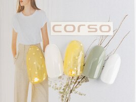 夏サンプル33/茶屋町中津中崎町