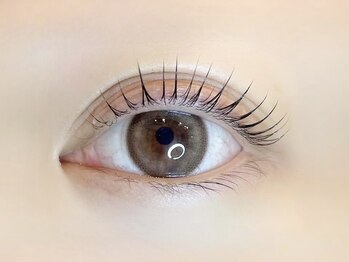 リノ カヒリ アイラッシュ(Lino kahili)/ラッシュリフト