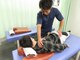 新御徒町接骨院の写真/国家資格保有施術者によるオーダーメイド施術が人気☆身体のお悩みを改善し、健康的な身体へと導きます♪