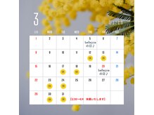 ベルジョア(bellejoie)の雰囲気(3月のお休み 12日・13日・17日・18日・23日・24日・30日・31日)